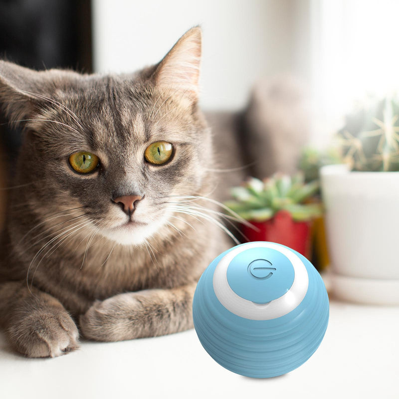 Bola de Brinquedo para Pets - SmartBall